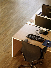 Кварцвиниловые полы FF-1500 Wood FF-1583 Сосна Парма фото 1 | FLOORDEALER